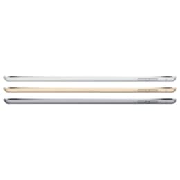 iPad mini (2015) - WLAN