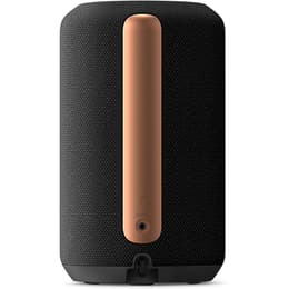 Lautsprecher Bluetooth Sony SRS-RA3000 - Schwarz