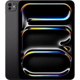 iPad Pro 11" (2025) 8. Generation 2000 GB - WLAN - Space Schwarz