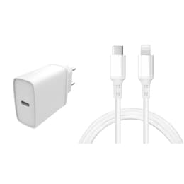 Kabel und Wandgesteck (USB-C + Lightning) 20W - WTK