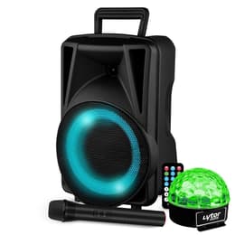 Festisound Karaoké avec USB SD Bluetooth TWS - Micro sans fil PA-Lautsprecher