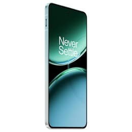 OnePlus Nord 4 256GB - Grün - Ohne Vertrag