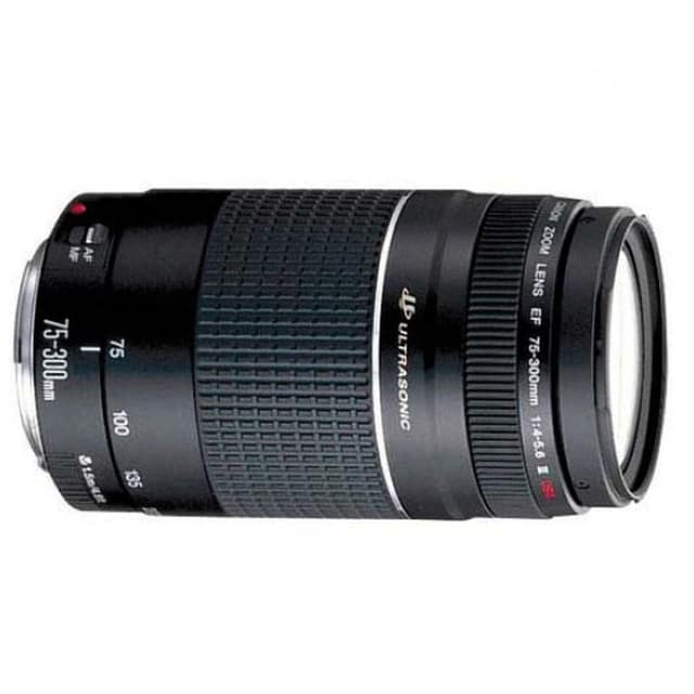 Canon Objektiv Ef 75 300mm F 4 0 5 6 Back Market